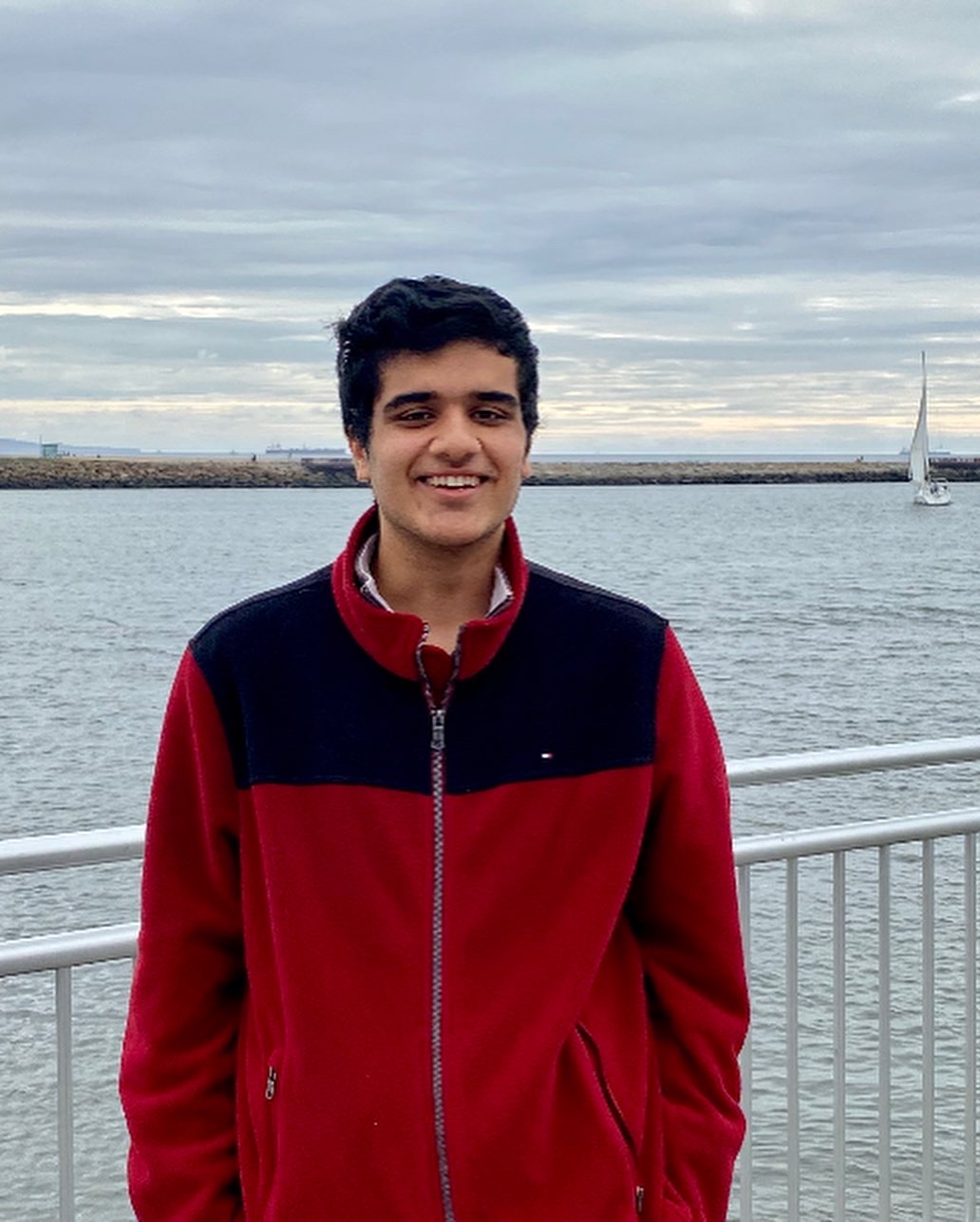 Portrait of Ashish V. Bamba